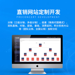 直销软件系统定制开发 更安全高效 可到公司面谈实地